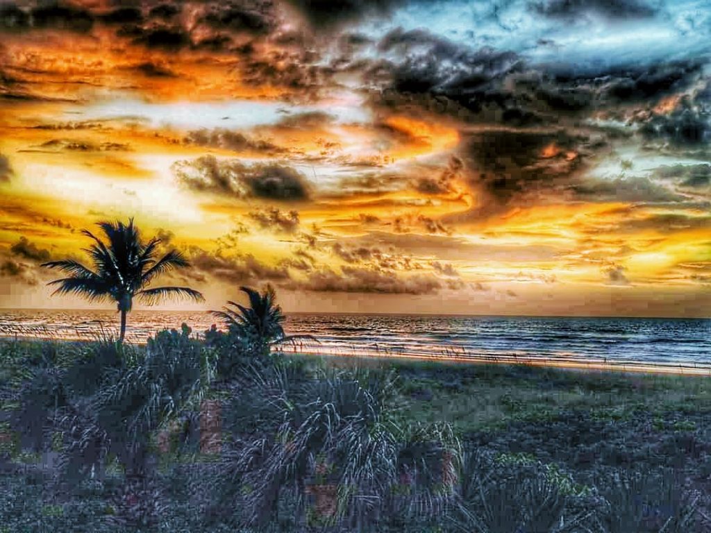 Florida sunrise